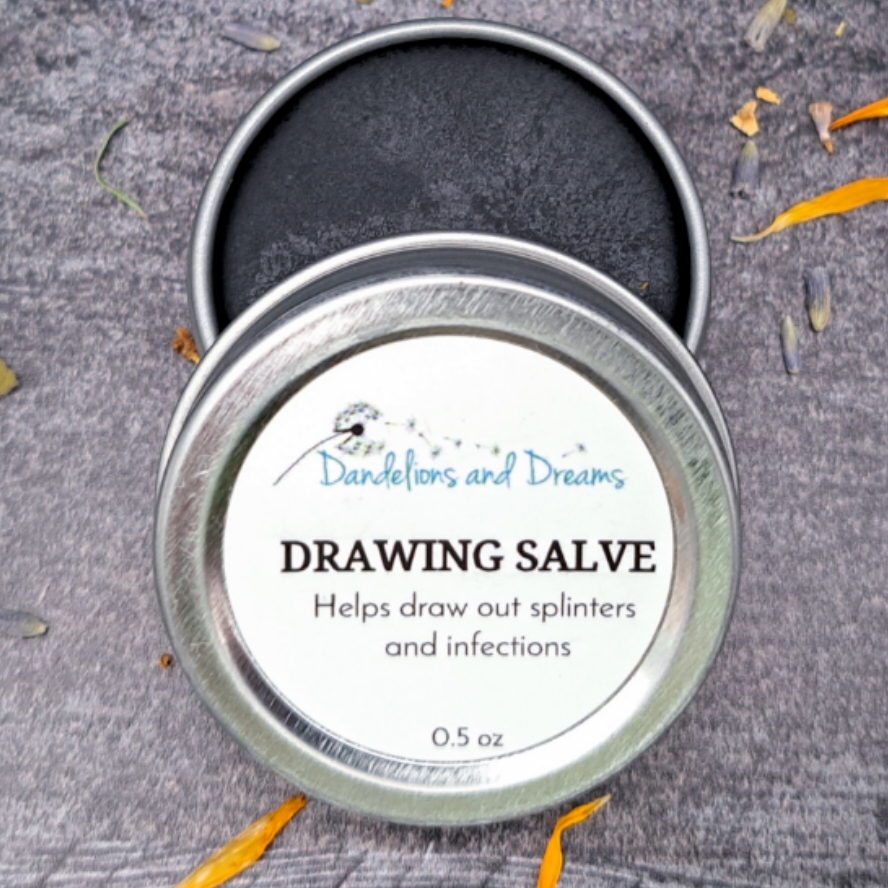 Drawing Salve  Dandelions & Dreams